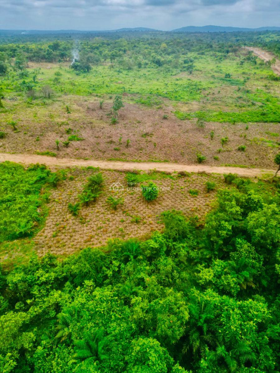 Earn 20 Million Naira Annually for 25 Years Owning This Farm Land, 30 Minutes Drive From Funnab, Abeokuta South, Ogun, Residential Land for Sale