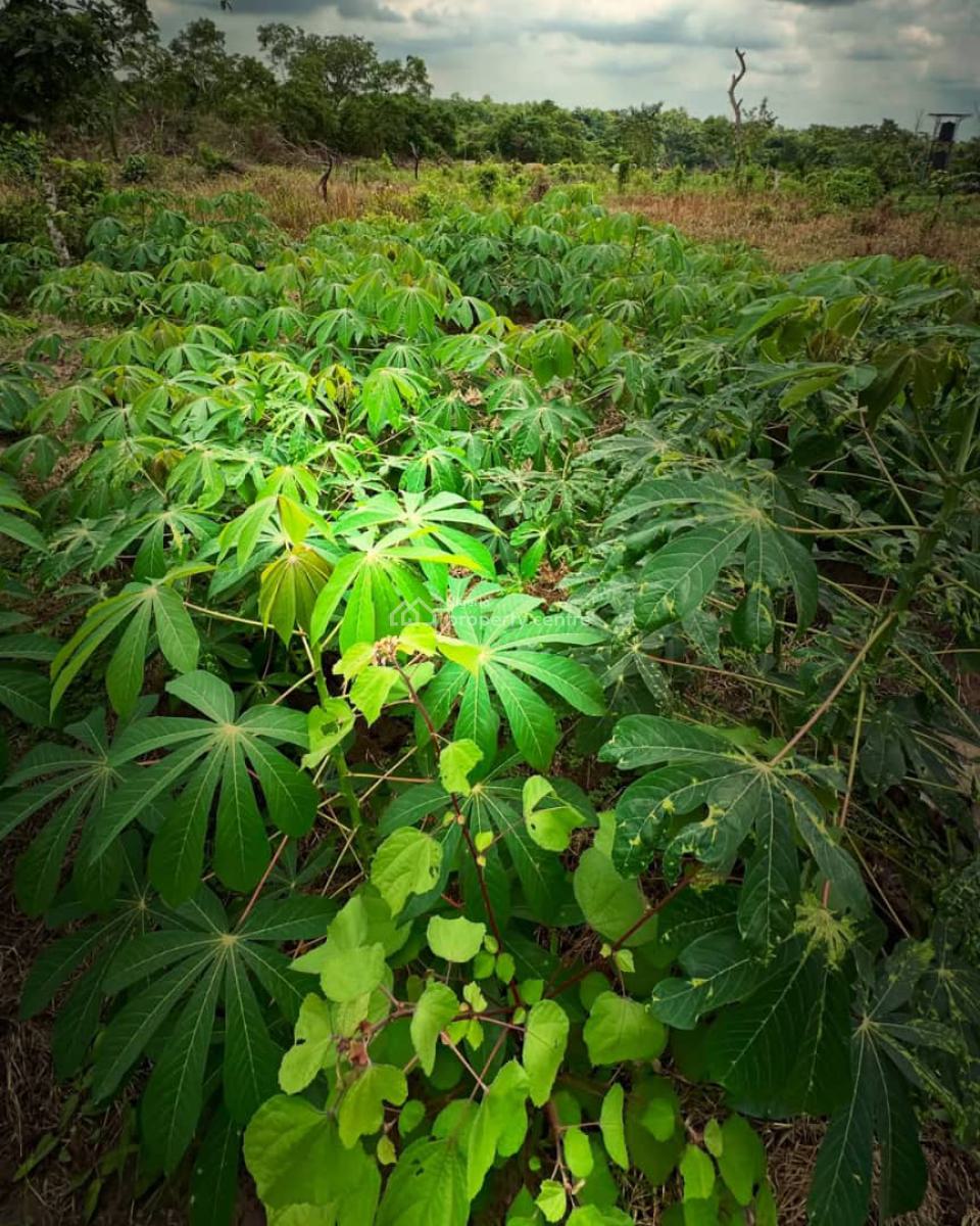 Earn 20 Million Naira Annually for 25 Years Owning This Farm Land, 30 Minutes Drive From Funnab, Abeokuta South, Ogun, Residential Land for Sale