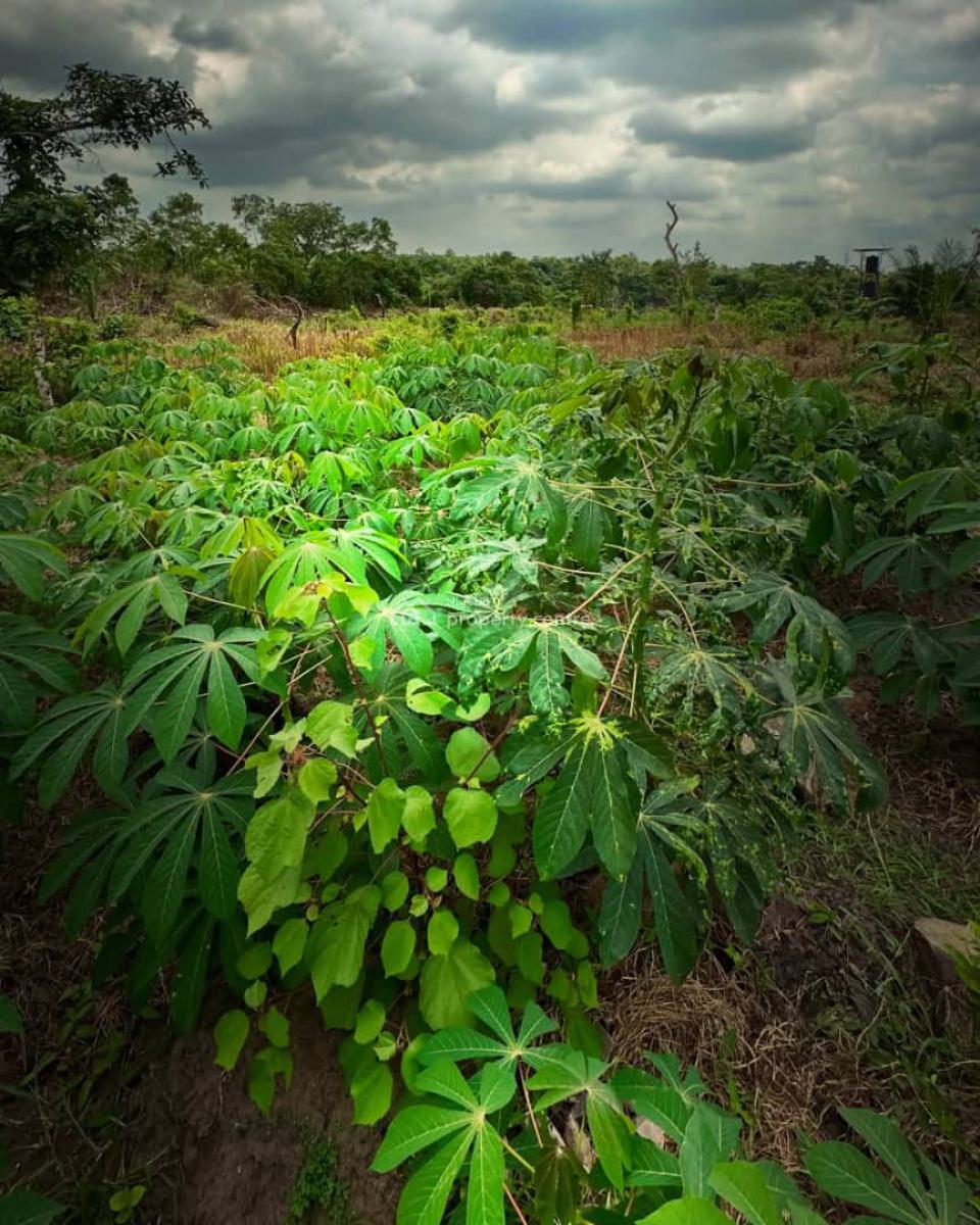 Earn 20 Million Naira Annually for 25 Years Owning This Farm Land, 30 Minutes Drive From Funnab, Abeokuta South, Ogun, Residential Land for Sale
