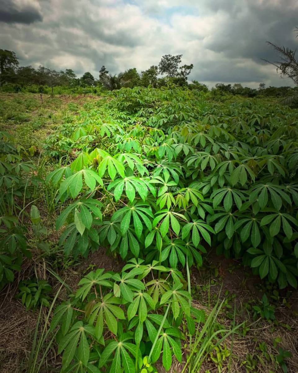 Earn 20 Million Naira Annually for 25 Years Owning This Farm Land, 30 Minutes Drive From Funnab, Abeokuta South, Ogun, Residential Land for Sale