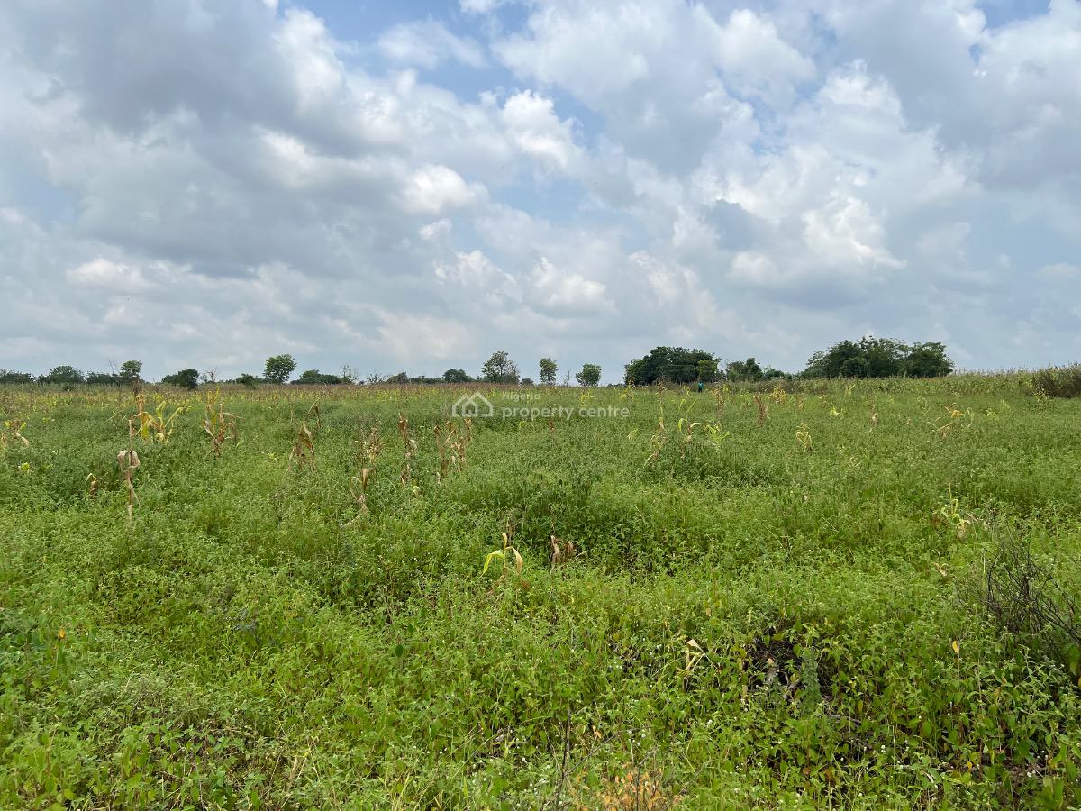 Own Acres & Hectares of Land in a Prime Area Suitable for Agriculture, Fertile Farmland with Easy Access to Lafenwa Market ,, Abeokuta North, Ogun, Mixed-use Land for Sale