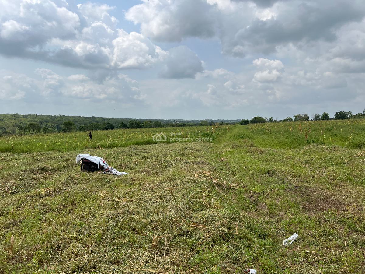 Own a Fertile Farmland & Also Earn From Agriculture Without Stress, Earn Annually From Cocoa & Plaintain Without Lifting a Finger, Abeokuta North, Ogun, Mixed-use Land for Sale