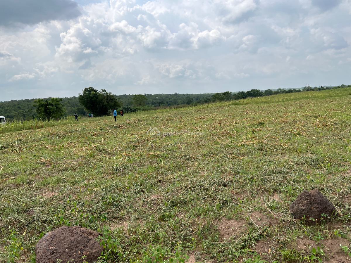 Own a Fertile Farmland & Also Earn From Agriculture Without Stress, Earn Annually From Cocoa & Plaintain Without Lifting a Finger, Abeokuta North, Ogun, Mixed-use Land for Sale