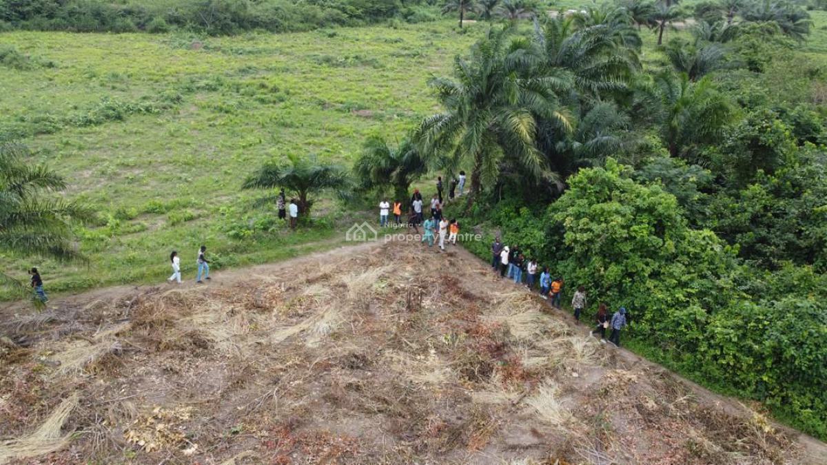 1 Acre at Palmrich Farm Phase 2️⃣, Aso Ilobi Road, Ewekoro, Ogun State, Ewekoro, Ogun, Commercial Land for Sale