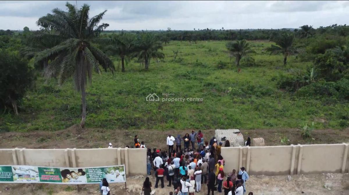 1 Acre at Palmrich Farm Phase 2️⃣, Aso Ilobi Road, Ewekoro, Ogun State, Ewekoro, Ogun, Commercial Land for Sale