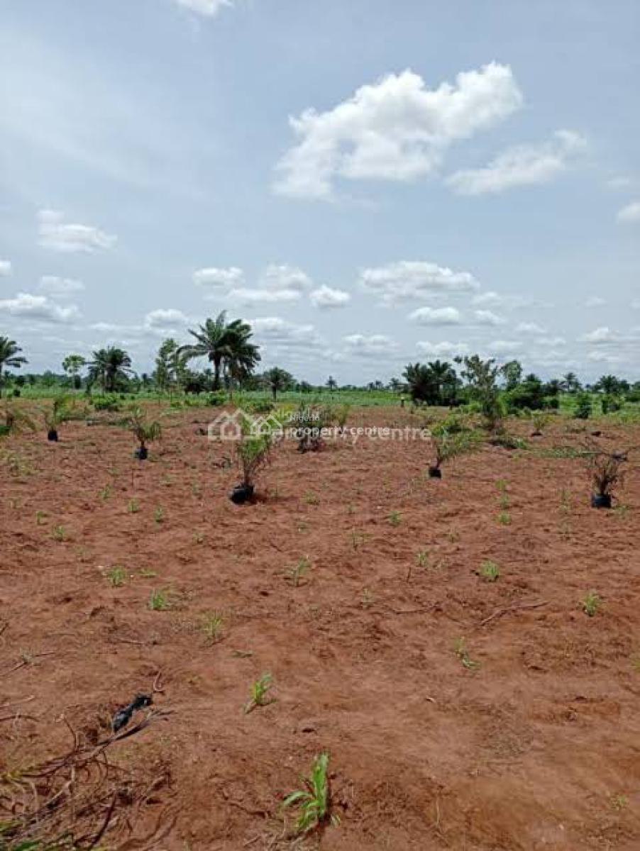 Land for Smart Investors, Palm Rich Estate, Ewekoro, Ogun, Industrial Land for Sale
