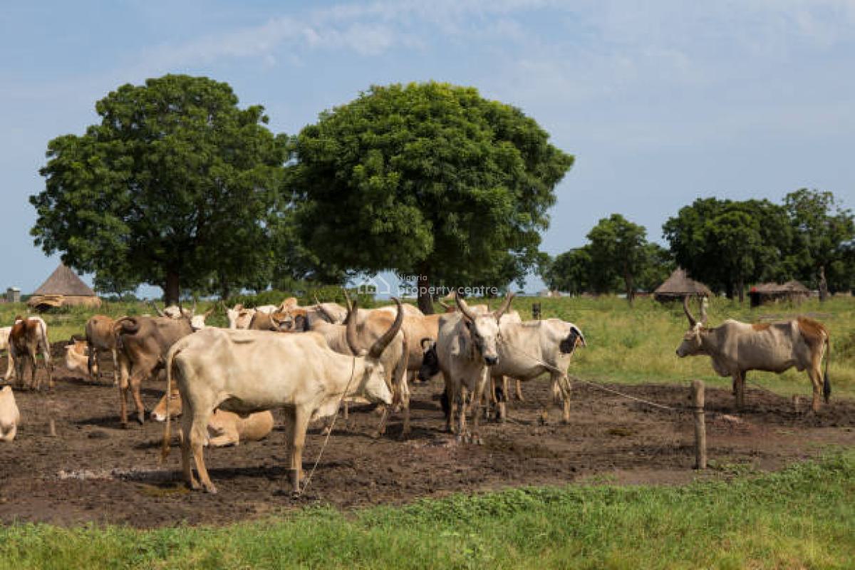 C of O Acres & Hectares of Livestock Farms Ado-awaye, Iseyin, Oyo, Livestock Farmlands at Ado-awaye, Iseyin, Oyo, Commercial Land for Sale