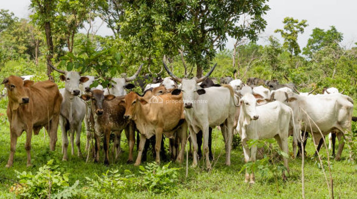 C of O Acres & Hectares of Livestock Farms Ado-awaye, Iseyin, Oyo, Livestock Farmlands at Ado-awaye, Iseyin, Oyo, Commercial Land for Sale