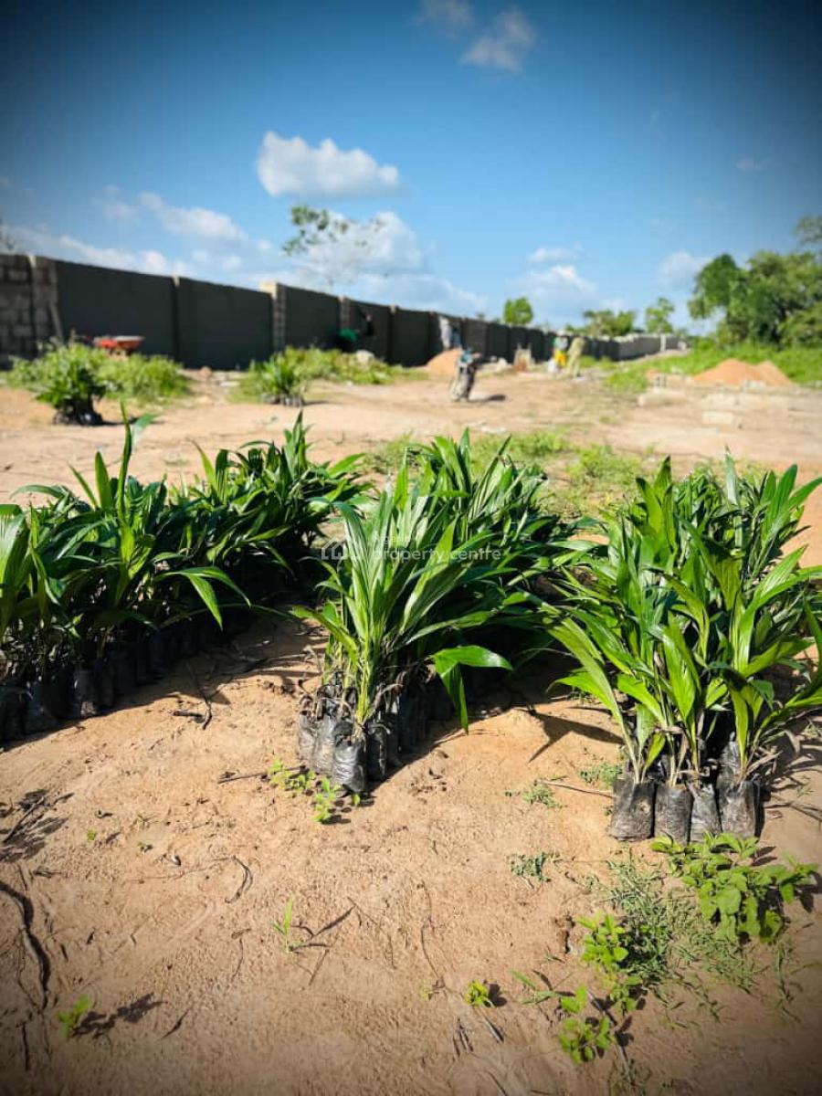 Land, Right in The Axis of Funnab, Abeokuta South, Ogun, Residential Land for Sale