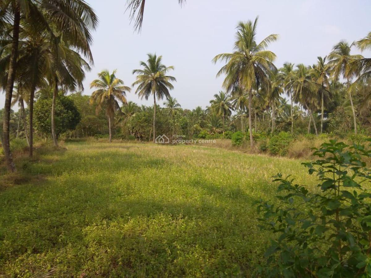 Plots of Land in Dry Location, Eleko, Ibeju Lekki, Lagos, Land for Sale