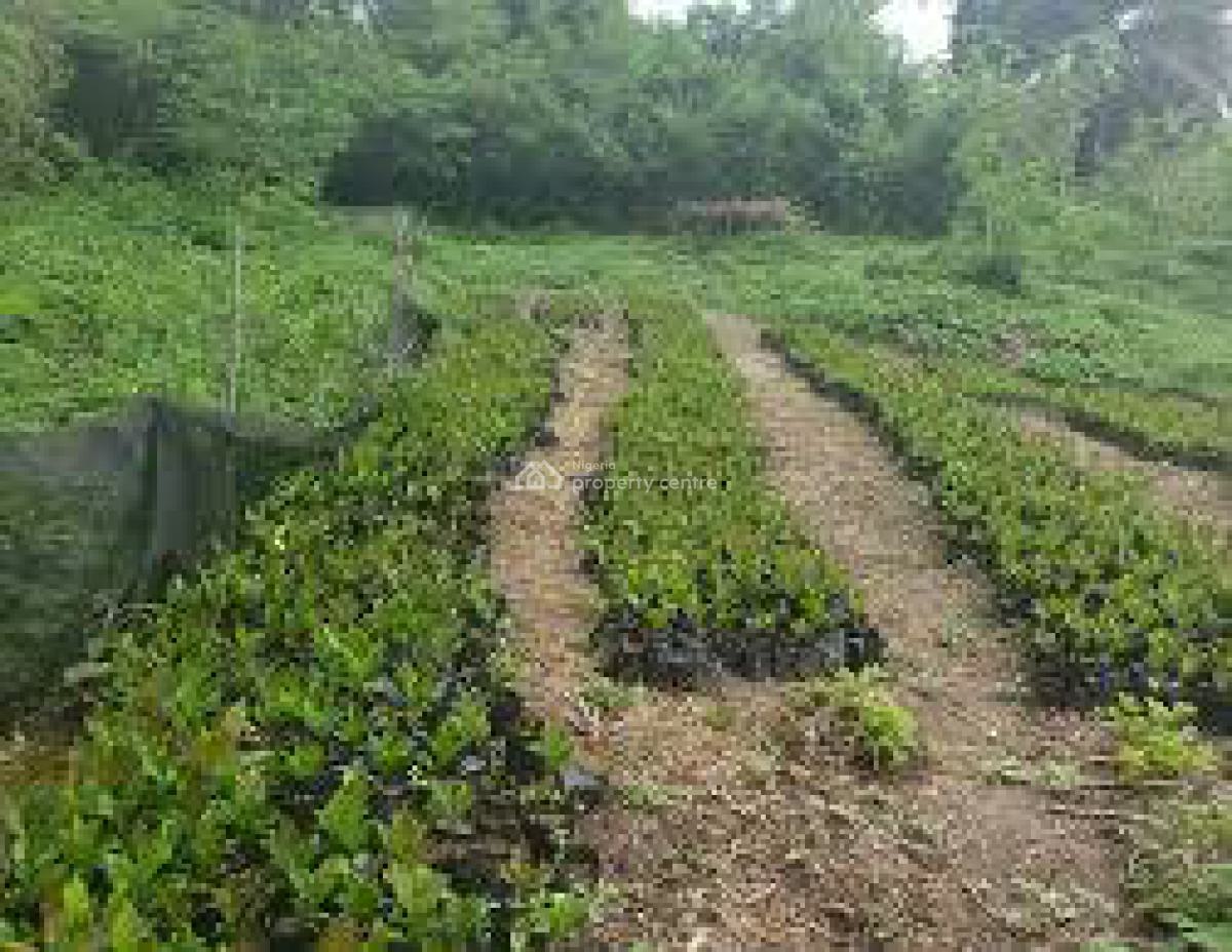 C of O Acres & Hectares of Cashew Farm Land, Ado-awaye, Iseyin, Oyo, Commercial Land for Sale