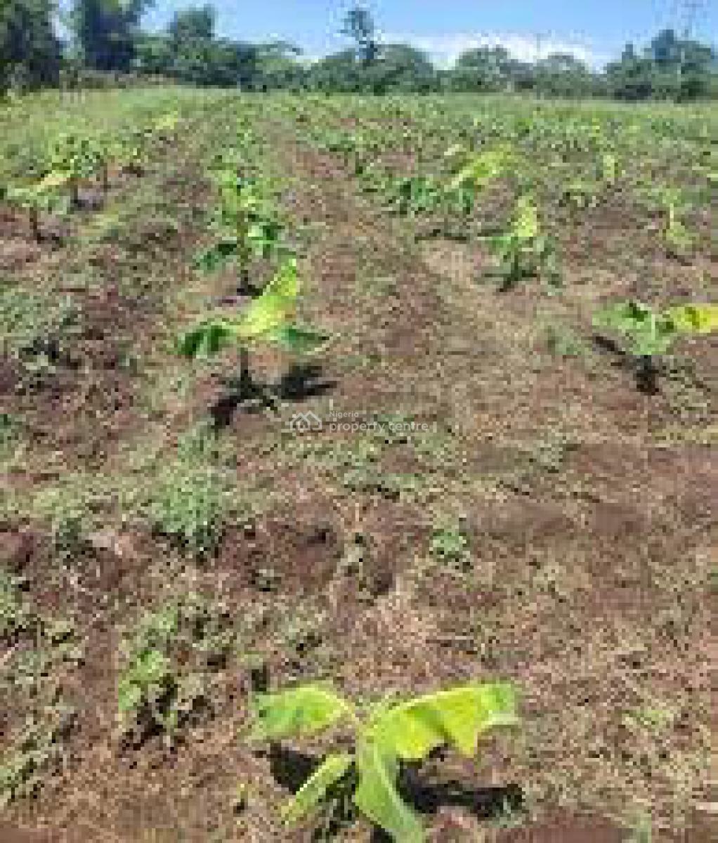 C of O Acres & Hectares of Cashcrop Farmland in Ado-awaye, Iseyin, Oyo, Cashcrop Farmlands in Ado-awaye, Iseyin, Ibadan, Oyo, Land for Sale