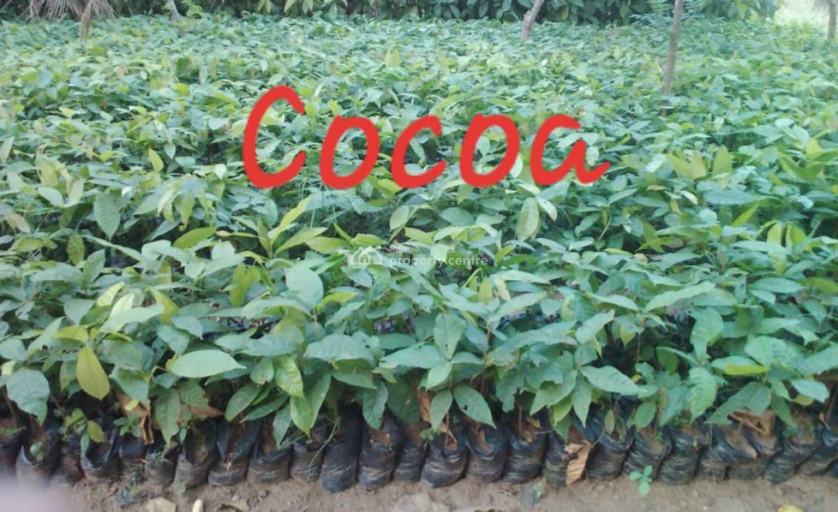 Next Generation Farm City, Ofuape, Abeokuta North, Ogun, Mixed-use Land for Sale