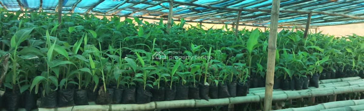 Next Generation Farm City, Ofuape, Abeokuta North, Ogun, Mixed-use Land for Sale