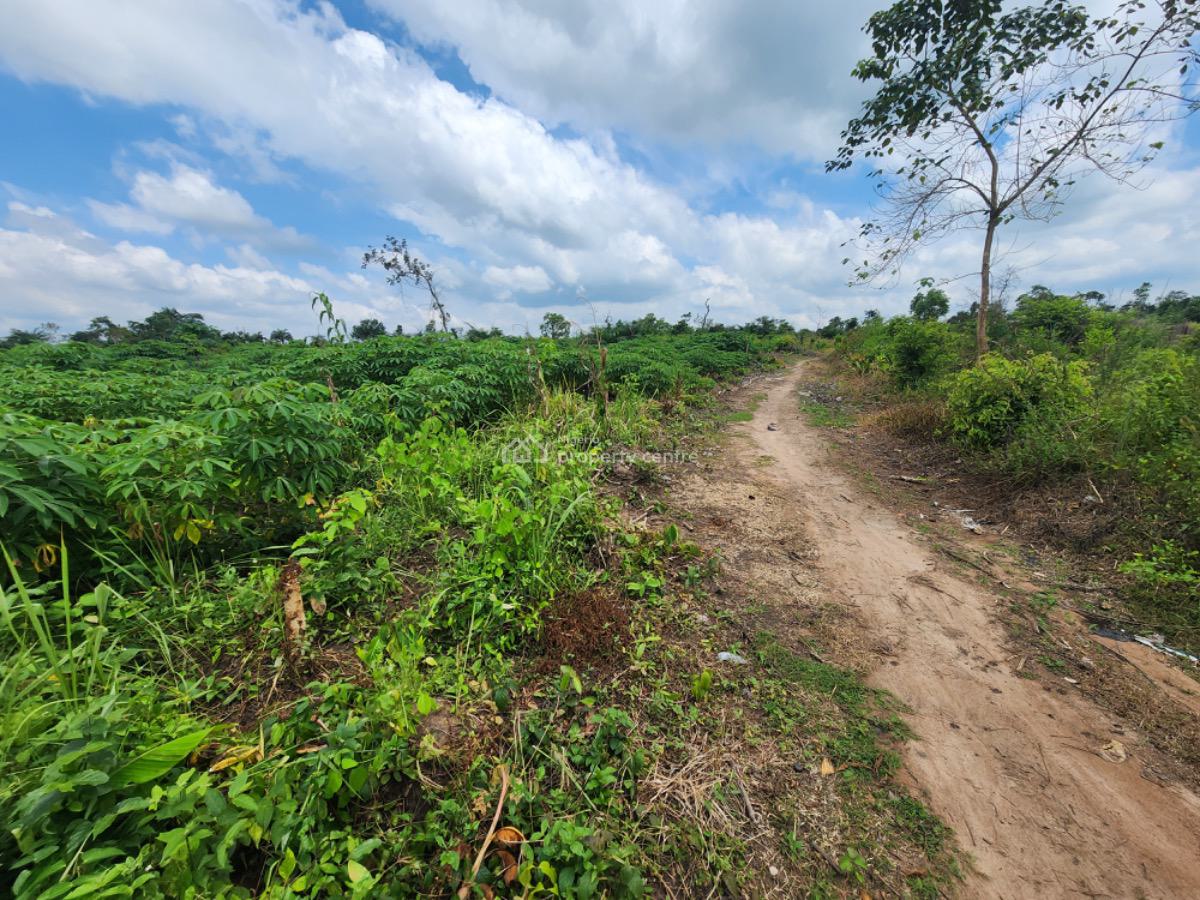 Earn 20 Million Naira Annually for 25 Years on This Farm Land, 30 Minutes Drive From Alabata Market, Abeokuta South, Ogun, Residential Land for Sale