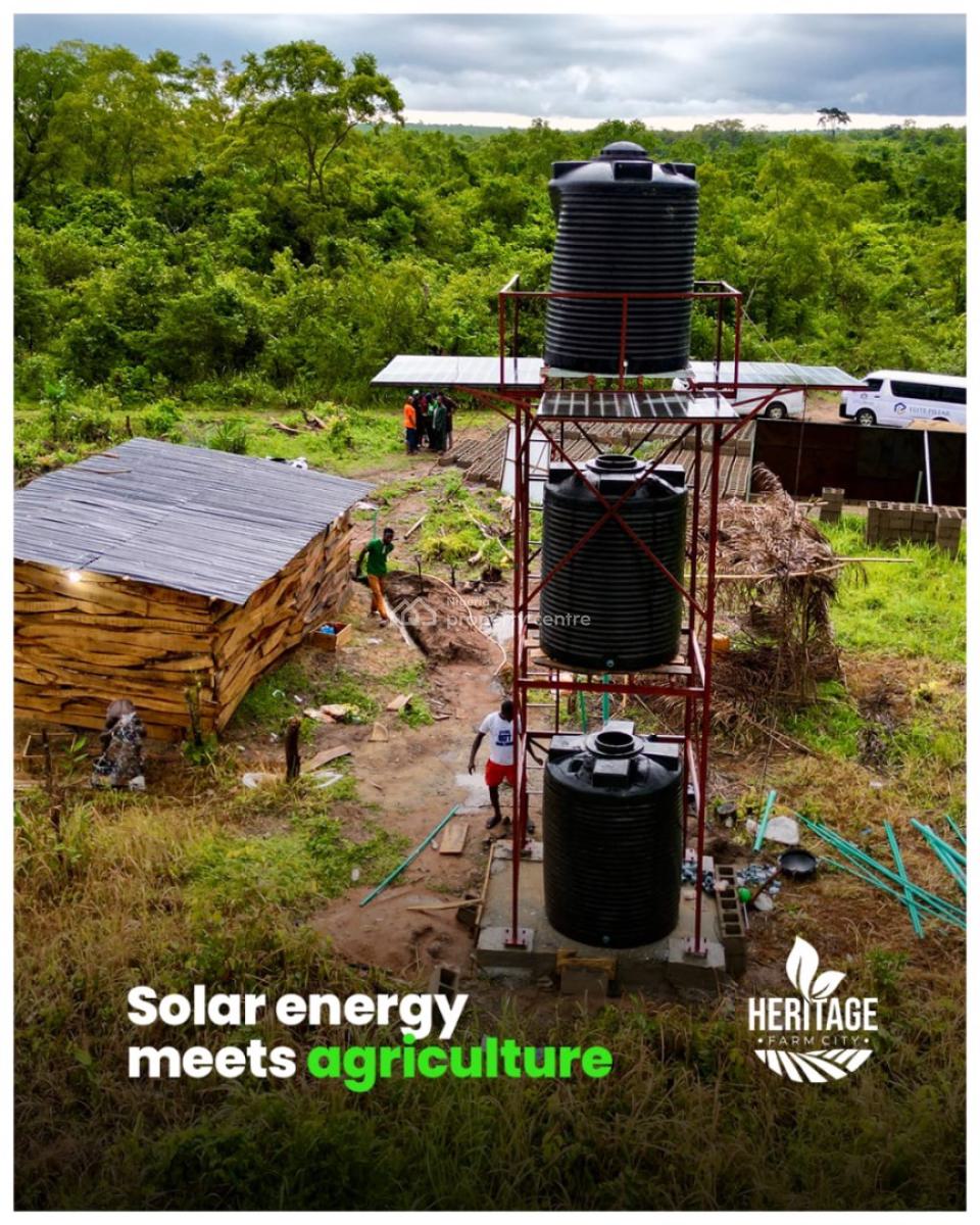 Own a Farmland That Earn You Money Annually, Off Funnab Alabata, Obada Oko, Abeokuta South, Ogun, Mixed-use Land for Sale