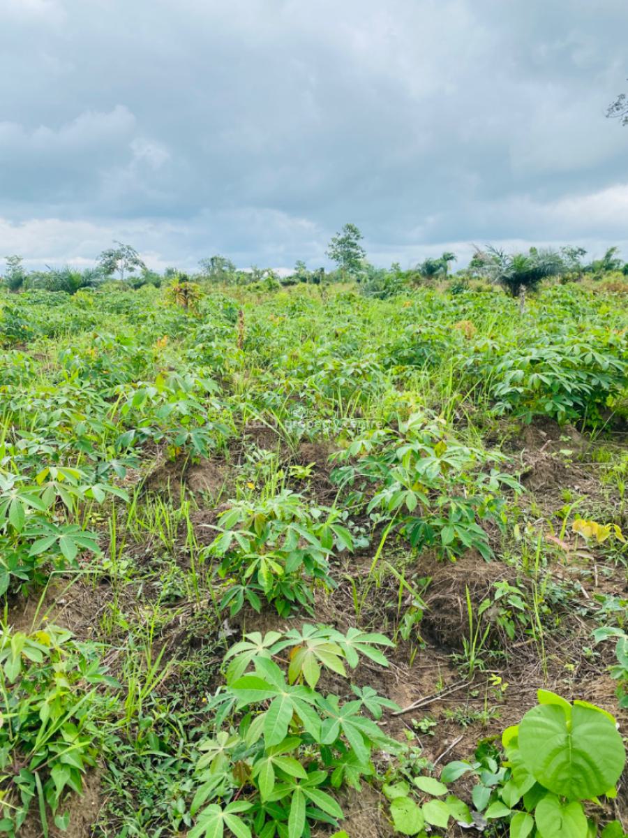 Own a Farmland That Earn You Money Annually, Off Funnab Alabata, Obada Oko, Abeokuta South, Ogun, Mixed-use Land for Sale