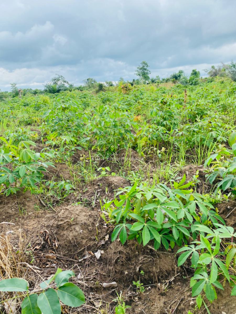 Own a Farmland That Earn You Money Annually, Off Funnab Alabata, Obada Oko, Abeokuta South, Ogun, Mixed-use Land for Sale