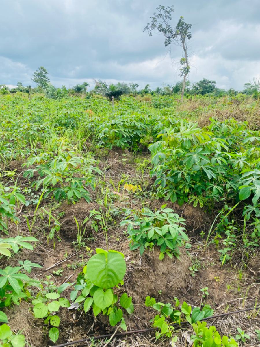 Own a Farmland That Earn You Money Annually, Off Funnab Alabata, Obada Oko, Abeokuta South, Ogun, Mixed-use Land for Sale