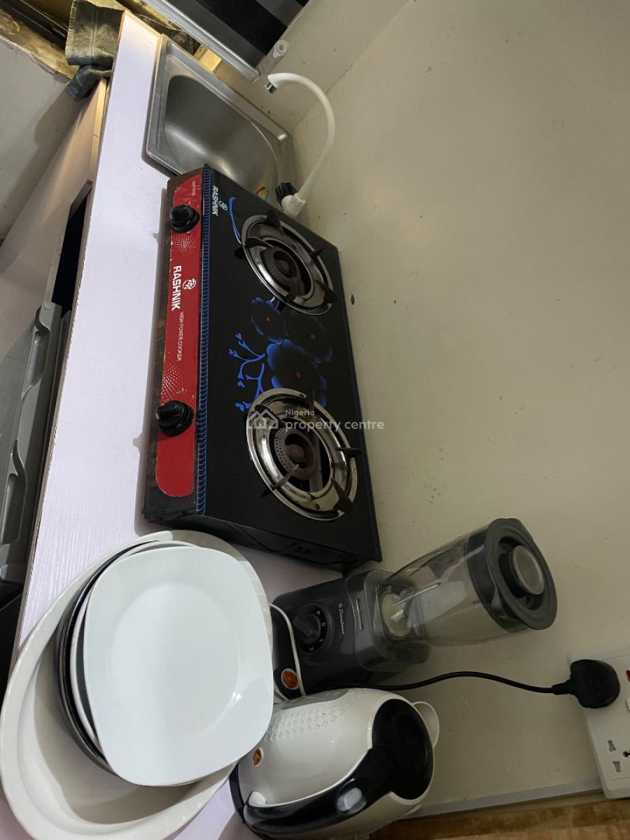 Luxury Furnished Serviced 1 Bedroom Apartment, Emcel Garden Estate, Orchid Road, Lekki, Lagos, Mini Flat (room and Parlour) Short Let