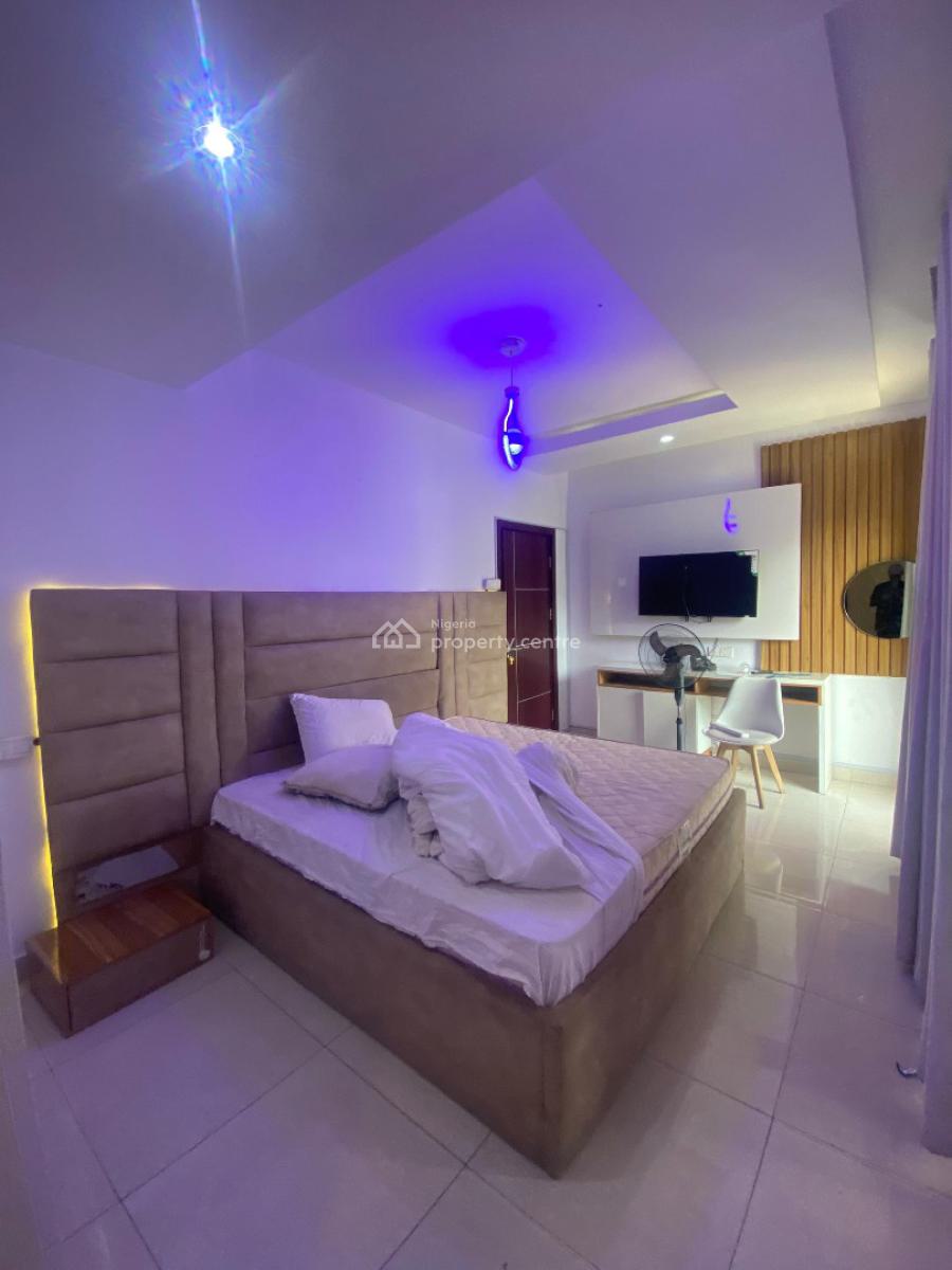One of a Kind Fully Furnished 2 Bedroom in The Heart of Lekki, Lekki Phase 1, Lekki, Lagos, Flat / Apartment for Rent