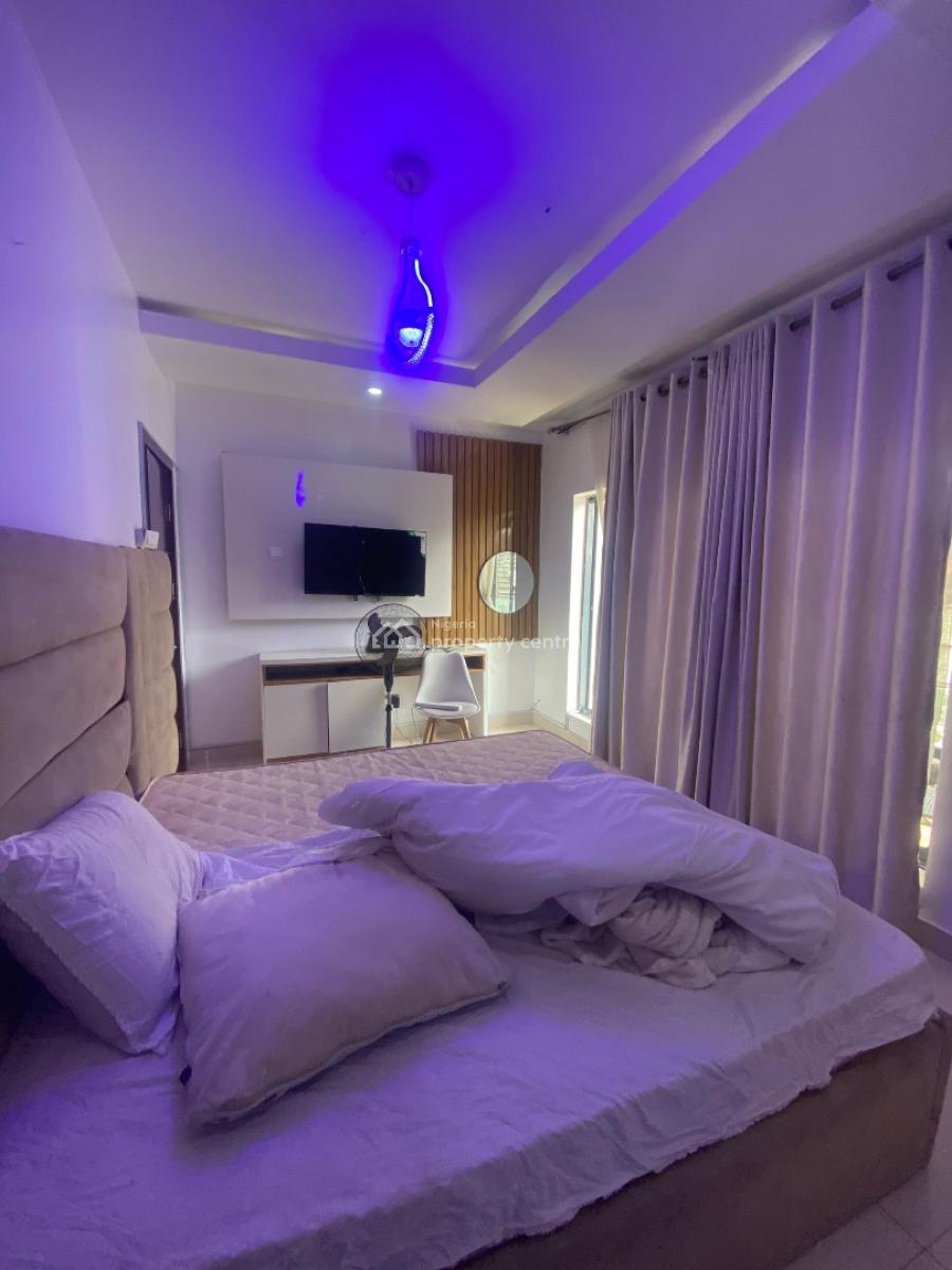 One of a Kind Fully Furnished 2 Bedroom in The Heart of Lekki, Lekki Phase 1, Lekki, Lagos, Flat / Apartment for Rent