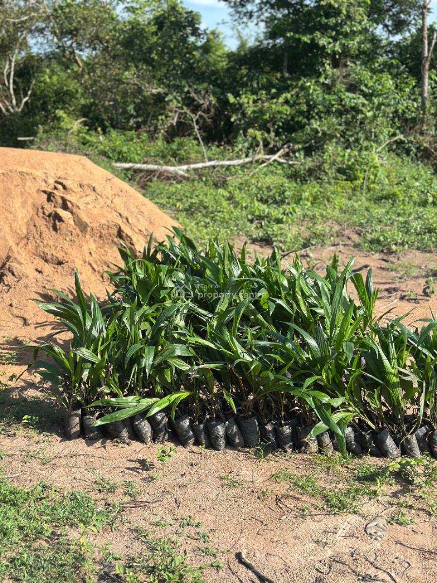 Make Money From Agriculture Without Touching The Soil, Heritage Farm City, Alabata Abeokuta, Funaab Axis, Odeda, Ogun, Mixed-use Land for Sale