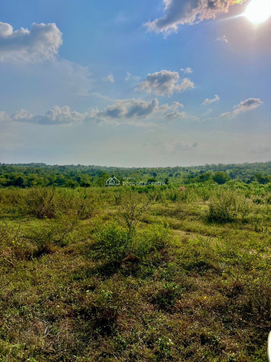 Land, Earn Passive Income Through Cocoa and Plantain Farming, Abeokuta North, Ogun, Mixed-use Land for Sale