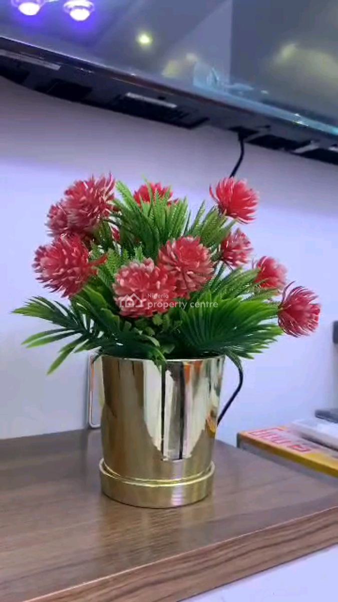 Furnished Luxury Miniflat at Isaac John Yaba, Isaac John Street, Yaba, Lagos, Mini Flat (room and Parlour) for Sale