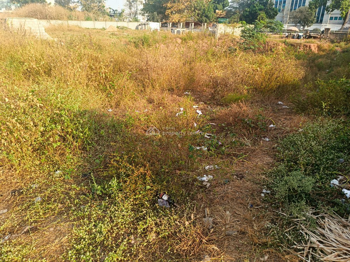 Commercial Land, Central Business District, Abuja, Land for Sale