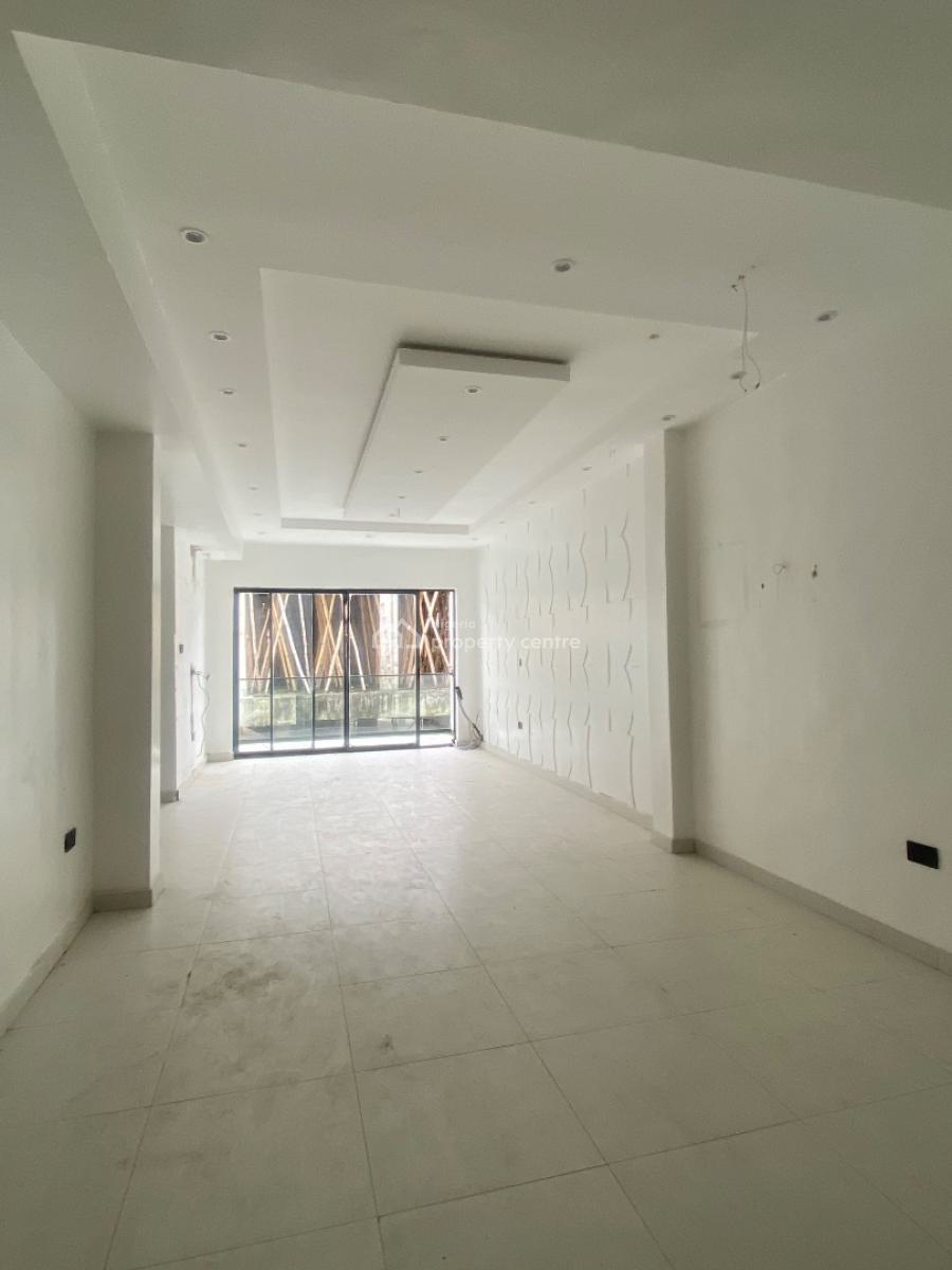 Luxury Modern 2 Bedroom Flat with a Bq, Ikate, Lekki, Lagos, Flat / Apartment for Rent