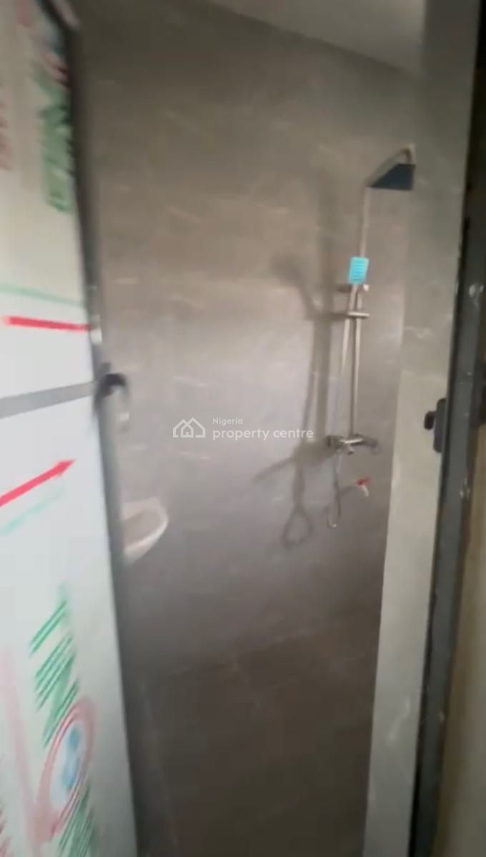 Newly Built Unit of Spacious 2bed Room Flat in a Serene Environment, Surulere, Lagos, Flat / Apartment for Rent