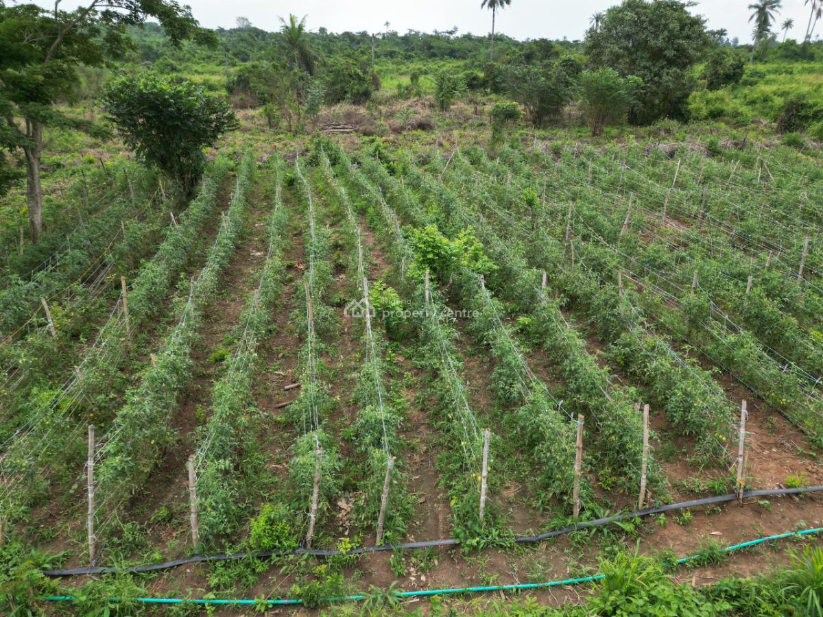 Farmland, Abeokuta North, Ogun, Mixed-use Land for Sale