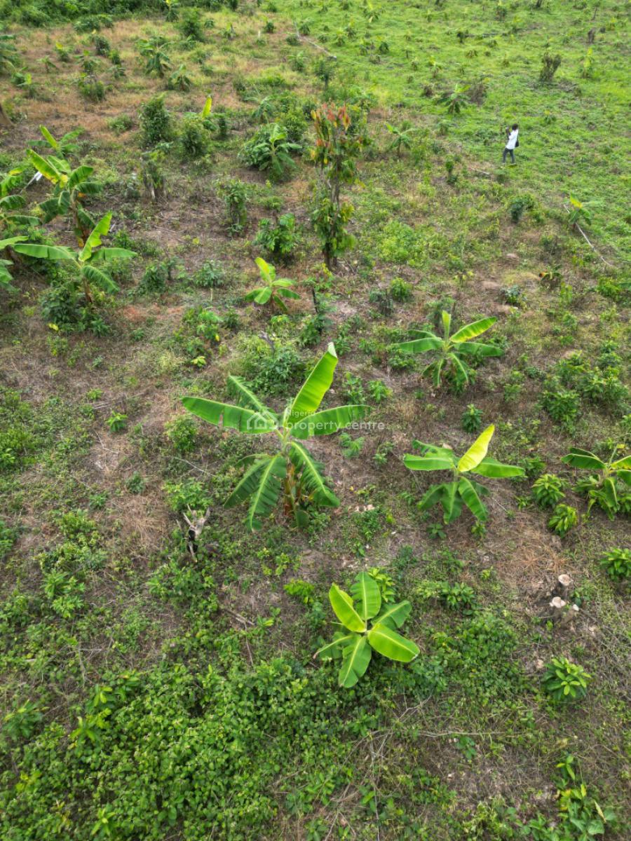 Farmland, Abeokuta North, Ogun, Mixed-use Land for Sale