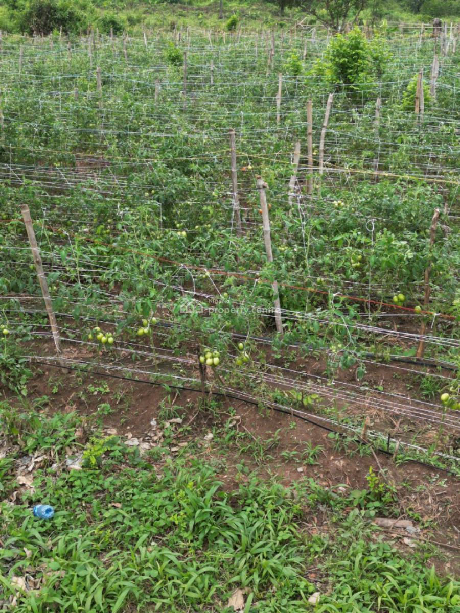 Farmland, Abeokuta North, Ogun, Mixed-use Land for Sale