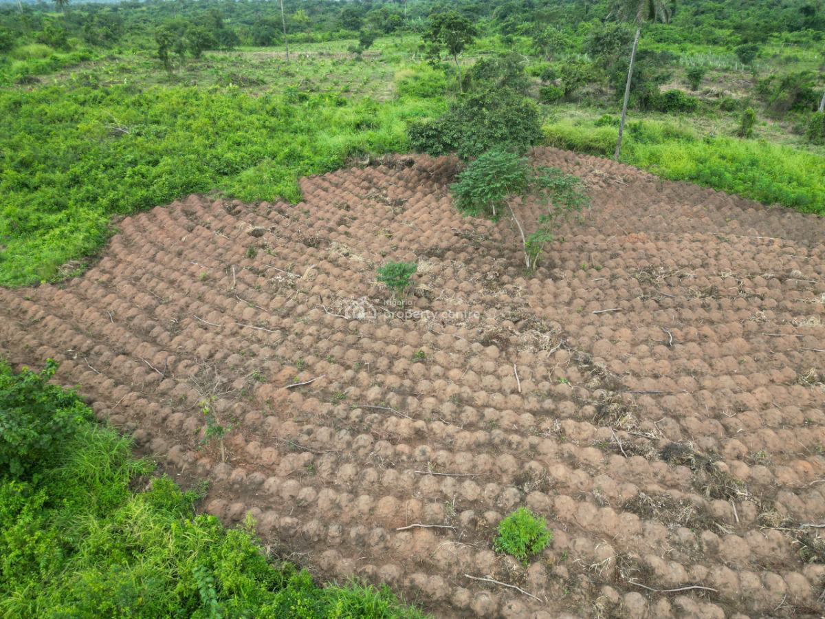 Farmland, Abeokuta North, Ogun, Mixed-use Land for Sale