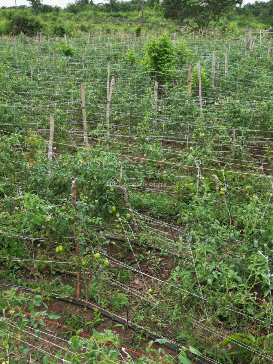 Farmland, Abeokuta North, Ogun, Mixed-use Land for Sale