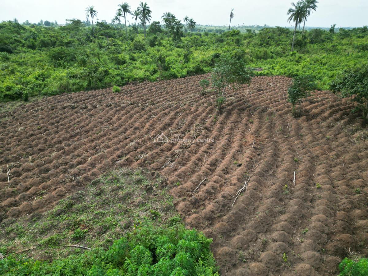 Farmland, Abeokuta North, Ogun, Mixed-use Land for Sale