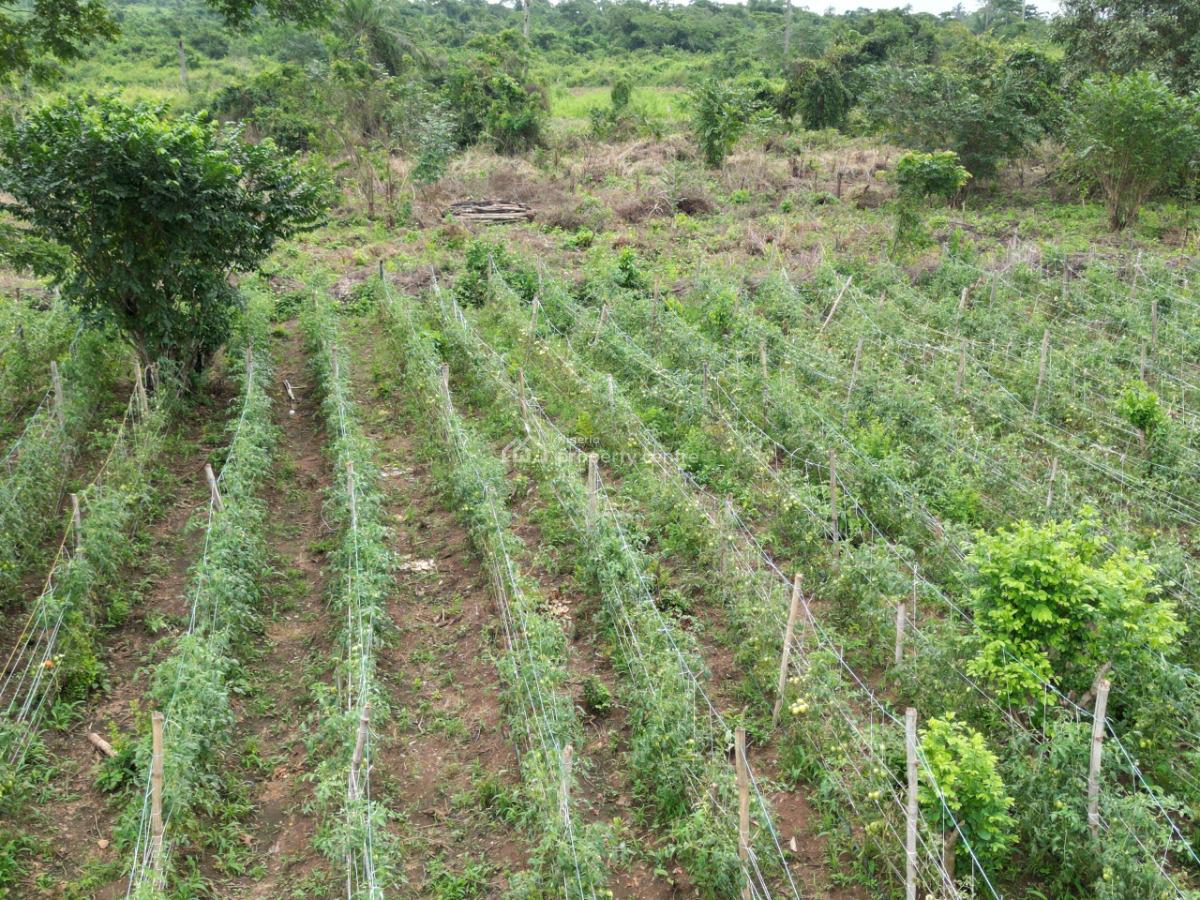 Farmland, Abeokuta North, Ogun, Mixed-use Land for Sale