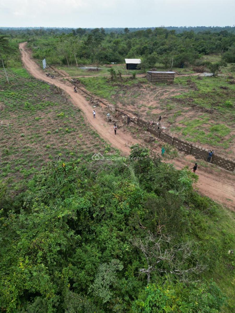 Affordable Farm Land That Gives Return Every 4 Months , Ogun State, Affordable Farm Land in a Serene Environment, Alabata Ogun State, Abeokuta South, Ogun, Land for Sale