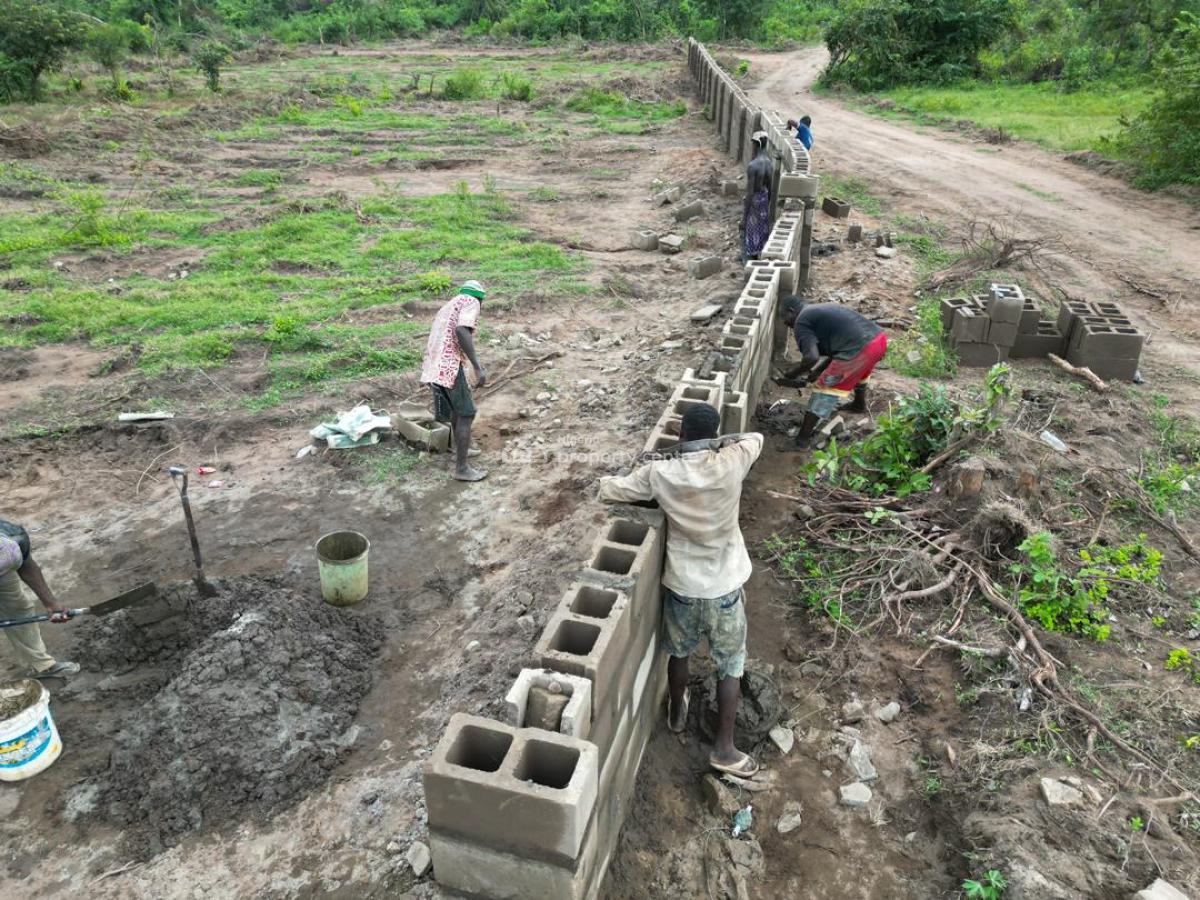 Affordable Farm Land That Gives Return Every 4 Months , Ogun State, Affordable Farm Land in a Serene Environment, Alabata Ogun State, Abeokuta South, Ogun, Land for Sale