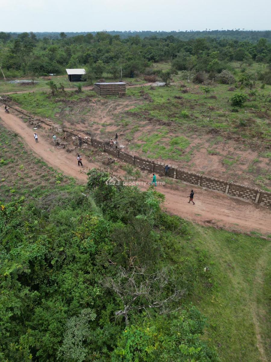 Affordable Farm Land That Gives Return Every 4 Months , Ogun State, Affordable Farm Land in a Serene Environment, Alabata Ogun State, Abeokuta South, Ogun, Land for Sale