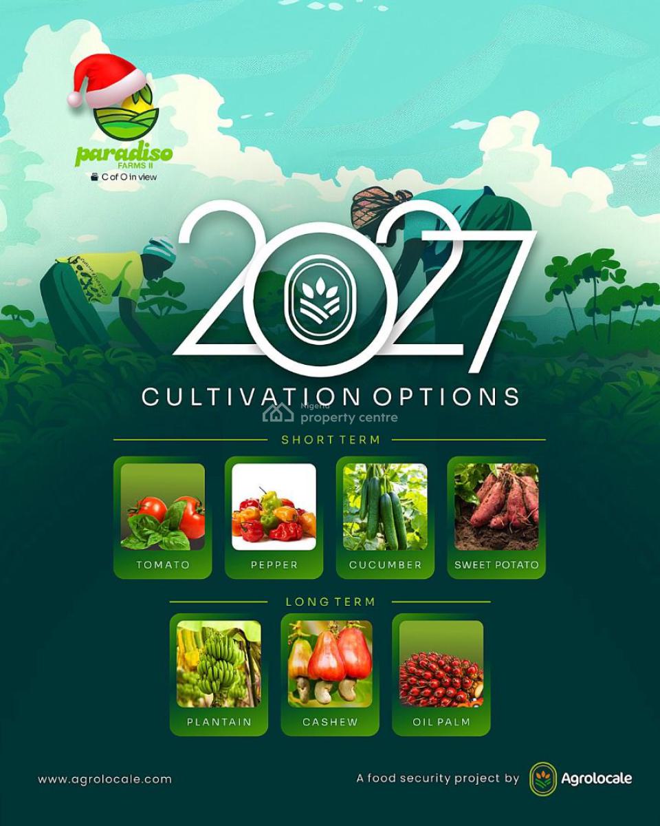 Affordable Farm Land That Gives Return Every 4 Months , Ogun State, Affordable Farm Land in a Serene Environment, Alabata Ogun State, Abeokuta South, Ogun, Land for Sale