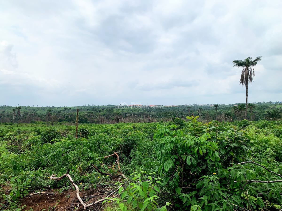 Agric Land Affordable, Omu Ijebu, Km 46, Ogun, Mixed-use Land for Sale