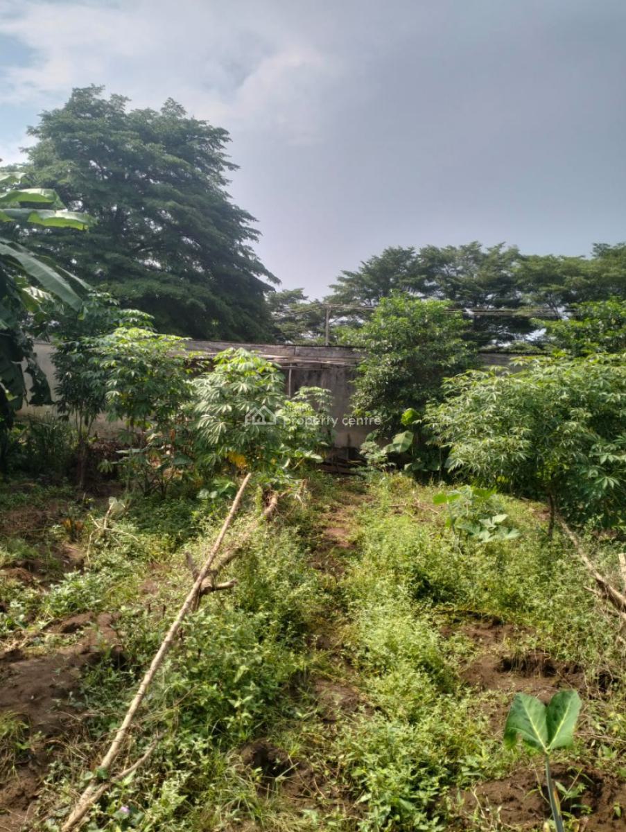 8 & Half Plot of Land, Along Akesan Igando Lasu Road, Akesan, Alimosho, Lagos, Commercial Land for Sale