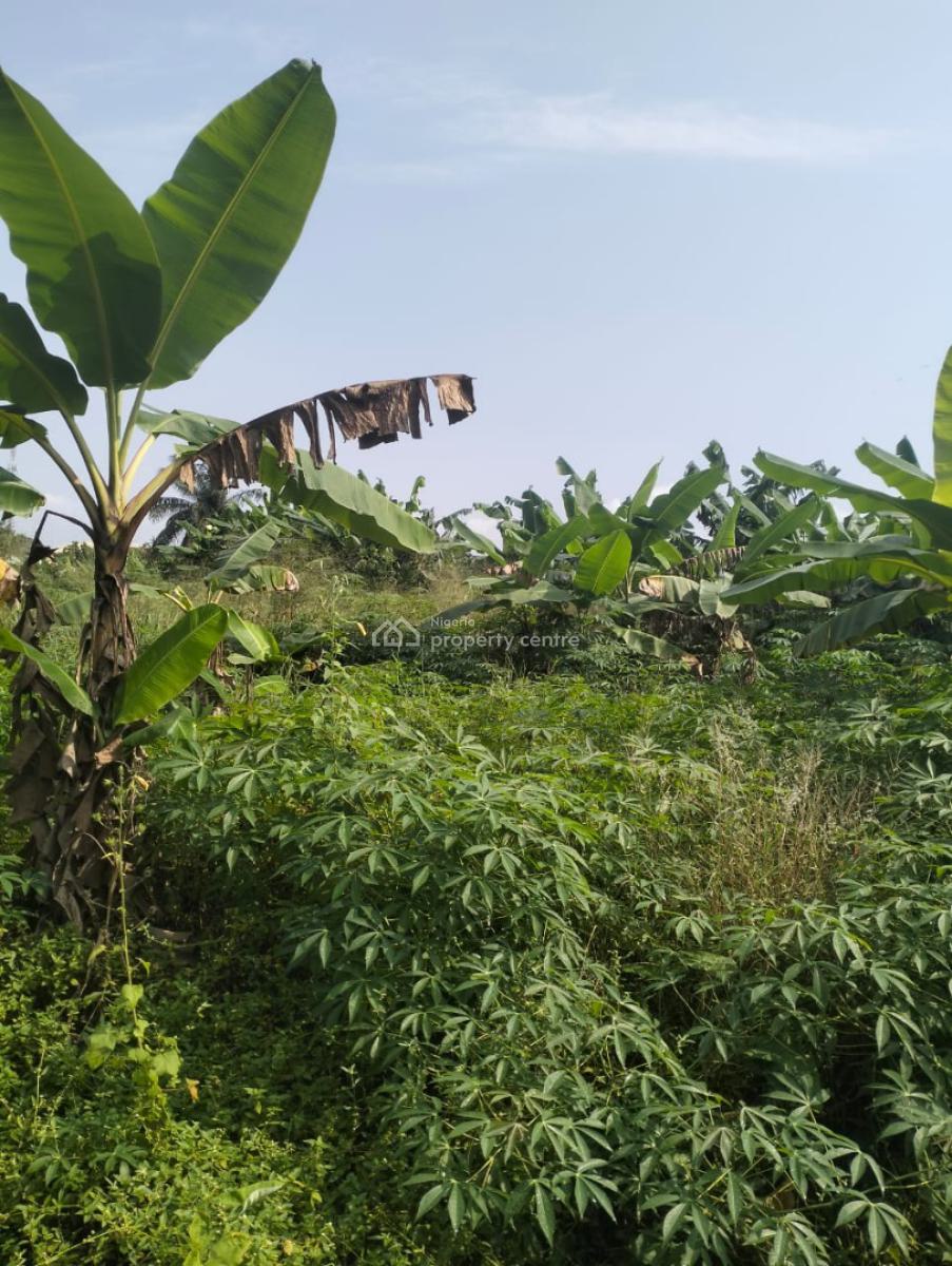 8 & Half Plot of Land, Along Akesan Igando Lasu Road, Akesan, Alimosho, Lagos, Commercial Land for Sale