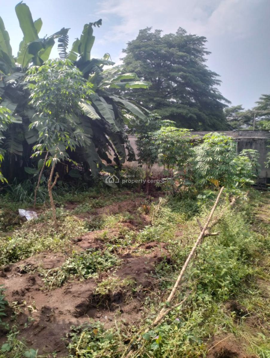 8 & Half Plot of Land, Along Akesan Igando Lasu Road, Akesan, Alimosho, Lagos, Commercial Land for Sale