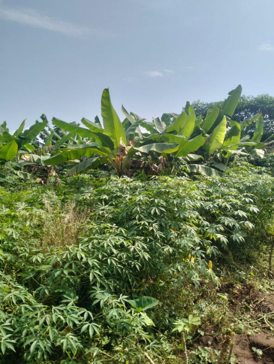 8 & Half Plot of Land, Along Akesan Igando Lasu Road, Akesan, Alimosho, Lagos, Commercial Land for Sale