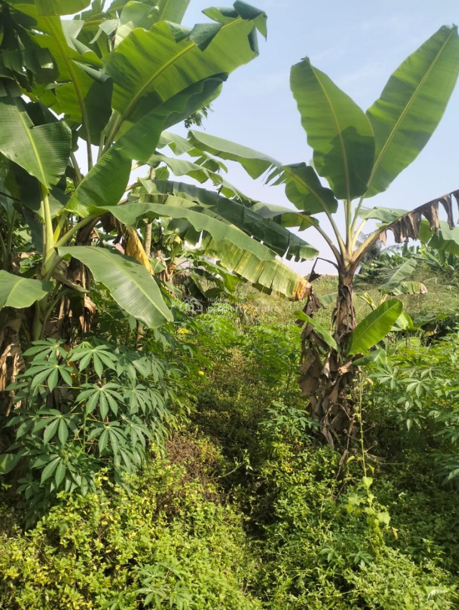 8 & Half Plot of Land, Along Akesan Igando Lasu Road, Akesan, Alimosho, Lagos, Commercial Land for Sale