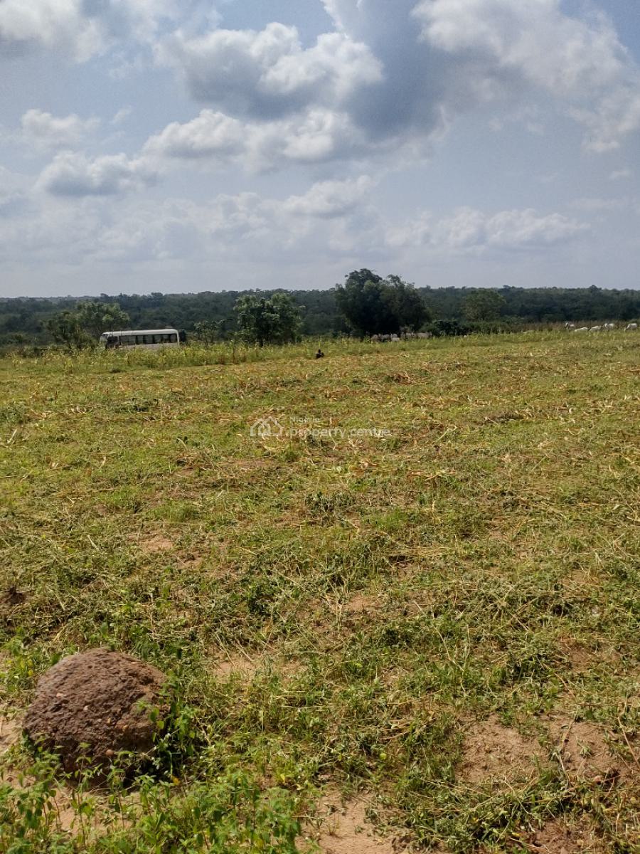 Most Suitable for Agriculture and Agribusiness, Less Than 10 Minutes From The Crescent University, Abeokuta North, Ogun, Land for Sale